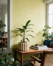 Fluted Drum Planter – styled on a console