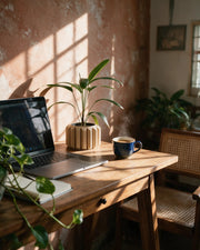Fluted Drum Planter – on a work desk in morning sun