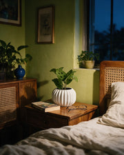 Fluted Lobe Planter – at night on a bedside table