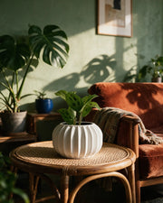 Fluted Lobe Planter – on a side table at golden hour