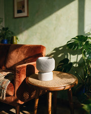Fluted Pedestal Planter – on a side table at golden hour