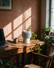 Fluted Pedestal Planter – on a work desk in morning sun