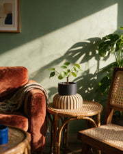 Fluted Riser Planter – on a side table at golden hour