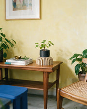 Fluted Riser Planter – styled on a console