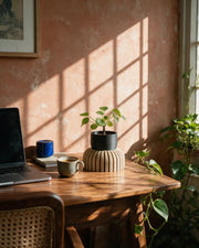 Fluted Riser Planter – on a work desk in morning sun