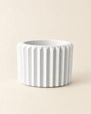 Fluted Taper Planter – front view