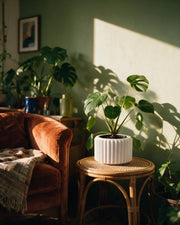 Fluted Taper Planter – on a side table at golden hour