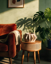 Gem Hex Planter – on a side table at golden hour