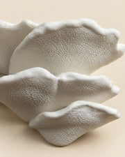 Gibbosa Fungus Shelf – close-up of the printed texture