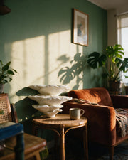 Gibbosa Fungus Shelf – on a side table at golden hour