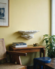 Gibbosa Fungus Shelf – styled on a console