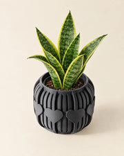 Heart Slat Planter – styled in use
