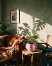 Heart Stud Planter – on a side table at golden hour
