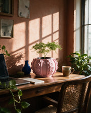 Heart Stud Planter – on a work desk in morning sun