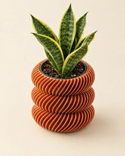 Helix Ridge Planter – styled in use