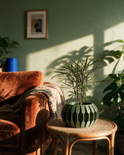 Hex Fin Planter – on a side table at golden hour