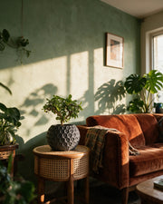 Hex Globe Planter – on a side table at golden hour