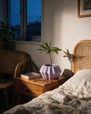 Hex Panel Planter – at night on a bedside table