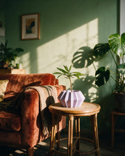 Hex Panel Planter – on a side table at golden hour