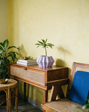 Hex Panel Planter – styled on a console