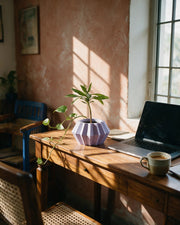 Hex Panel Planter – on a work desk in morning sun