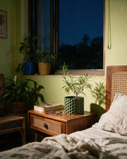 Hex Weave Planter – at night on a bedside table