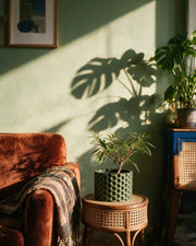 Hex Weave Planter – on a side table at golden hour