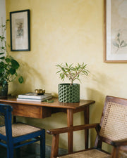 Hex Weave Planter – styled on a console