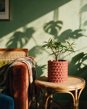Knot Cluster Planter – on a side table at golden hour