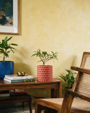 Knot Cluster Planter – styled on a console