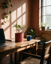 Knot Cluster Planter – on a work desk in morning sun