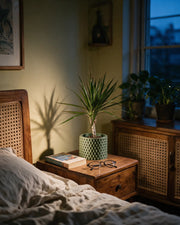 Knurl Column Planter – at night on a bedside table