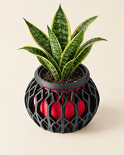 Lantern Hybrid Planter – styled in use