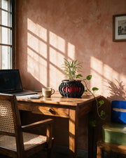 Lantern Hybrid Planter – on a work desk in morning sun