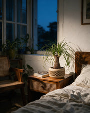 Lattice Basin Planter – at night on a bedside table