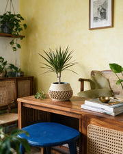 Lattice Bud Planter – styled on a console