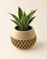 Lattice Bud Planter – styled in use