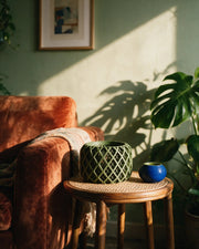 Lattice Drum Orchid Planter – on a side table at golden hour