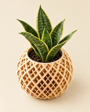 Lattice Globe Planter – styled in use
