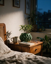 Loop Drop Planter – at night on a bedside table