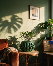 Loop Drop Planter – on a side table at golden hour