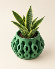 Loop Drop Planter – styled in use