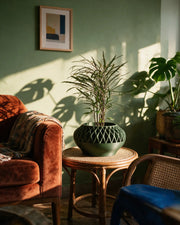 Mesh Basin Planter – on a side table at golden hour