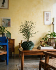 Mesh Basin Planter – styled on a console