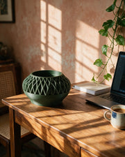 Mesh Basin Planter – on a work desk in morning sun