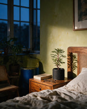 Micro Rib Planter – at night on a bedside table