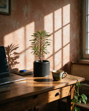 Micro Rib Planter – on a work desk in morning sun
