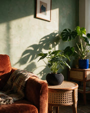 Mini Rib Planter – on a side table at golden hour
