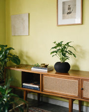 Mini Rib Planter – styled on a console
