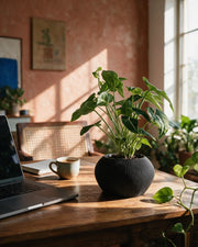 Mini Rib Planter – on a work desk in morning sun